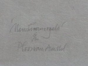 Jaap Ploos van Amstel - Neushoornvogels - Houtsnede kopen? Bied vanaf 45!