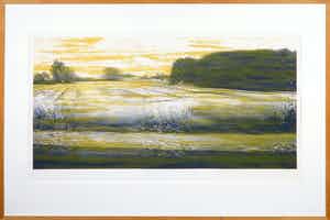 Esther Sluiter - Zeefdruk, Cruising - Ingelijst (Zeer Groot) verkocht voor € 50!