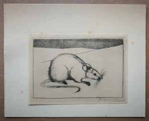Jan Mankes - Witte muis. kopen? Bied vanaf 20!