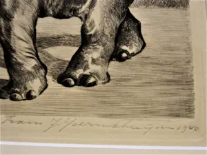 Frans IJserinkhuijsen - Hele mooie droge naald Ets uit 1940 "Olifantje" - potloodgesigneerd kopen? Bied vanaf 47!
