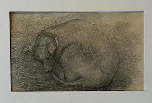 Willem van Konijnenburg - Slapende hond kopen? Bied vanaf 85!