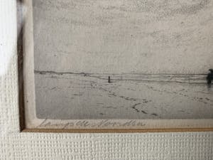 Maarten Langbroek - Langs de Noordzee Garnalenvisser Paarden kopen? Bied vanaf 35!