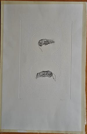Niet of onleesbaar gesigneerd - spitsmuisjes kopen? Bied vanaf 1!