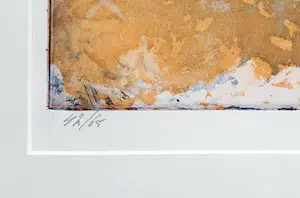 Marcel Schellekens - Kleurenlitho (1995) - Ingelijst kopen? Bied vanaf 120!