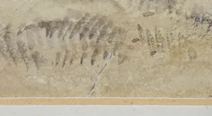 Niet of onleesbaar gesigneerd - Aquarel, Boomlandschap - Ingelijst kopen? Bied vanaf 1!