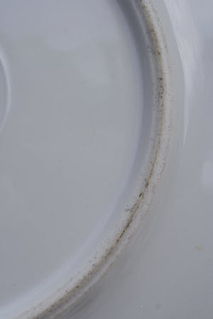 Niet of onleesbaar gesigneerd - Prachtige Orginele Porseleinen Kakimon Schotel Bloemen op Rots Partij en Insekt kopen? Bied vanaf 1!