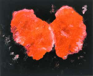 Armando - zonder titel verkocht voor € 1!