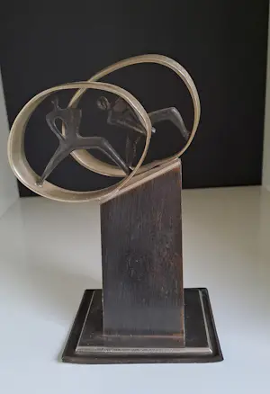 Corry Ammerlaan - Corry Ammerlaan van Niekerk kopen? Bied vanaf 40!