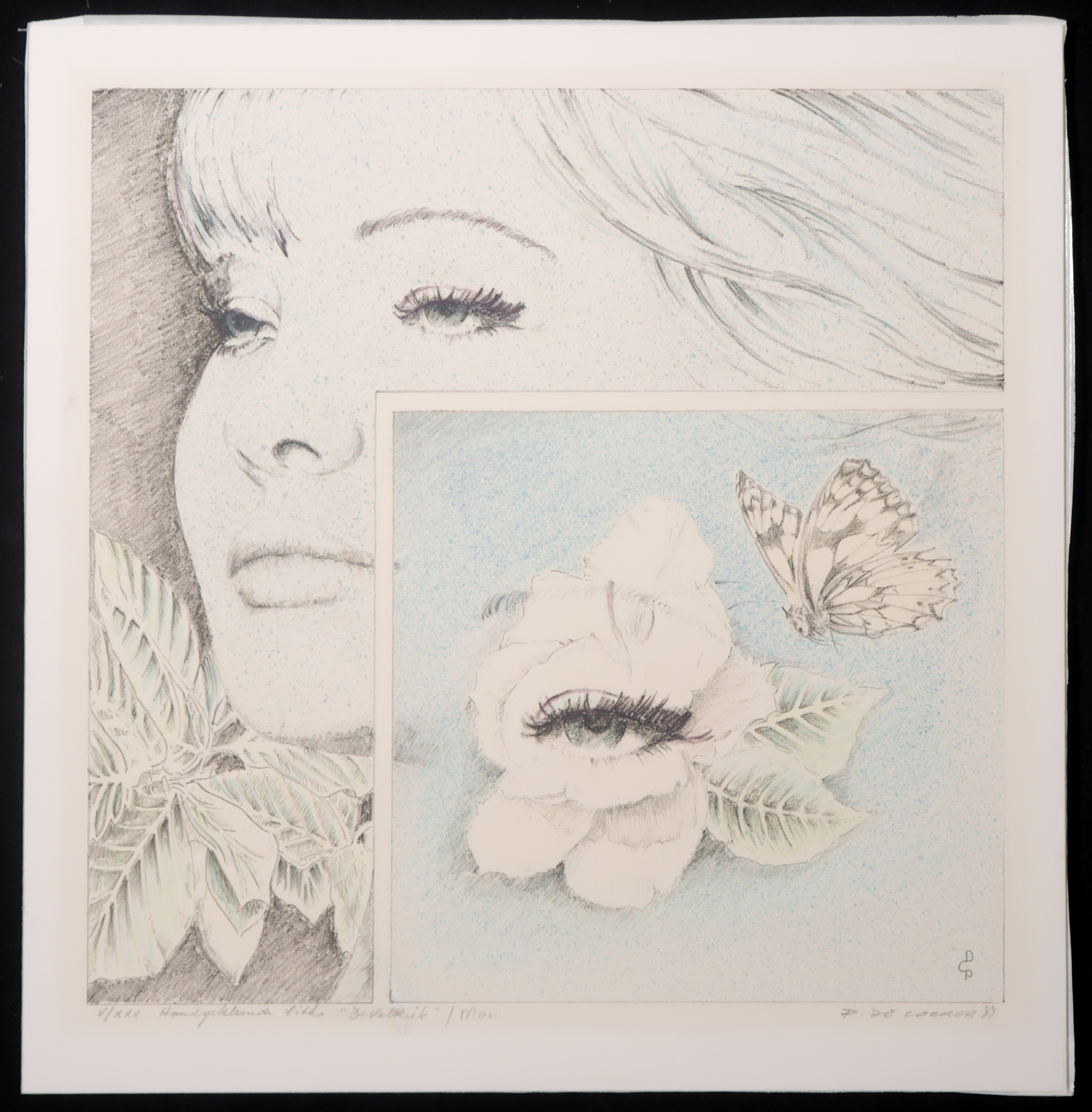 Paul De Cocker - Litho, De valstrik kopen? Bied vanaf 1!