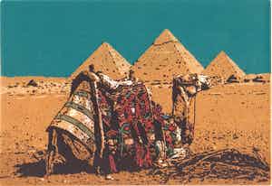 Simon Koene - Zittende kameel bij de piramide van Gizeh (Egypte) verkocht voor € 25!