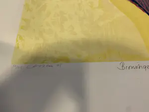 Henk van Vessem - Jana Beranová - Bronstige bron, diep als de dood, dendert omhoog kopen? Bied vanaf 50!