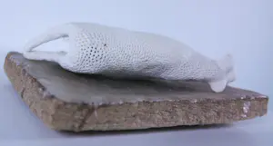 Kathja Smits - Porselein, papier en wax, Liggend schaapje kopen? Bied vanaf 125!