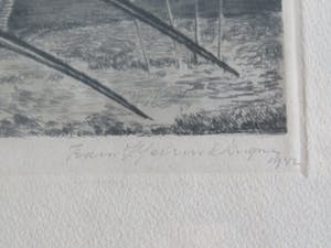 Frans IJserinkhuijsen - Tropische vissen kopen? Bied vanaf 1!