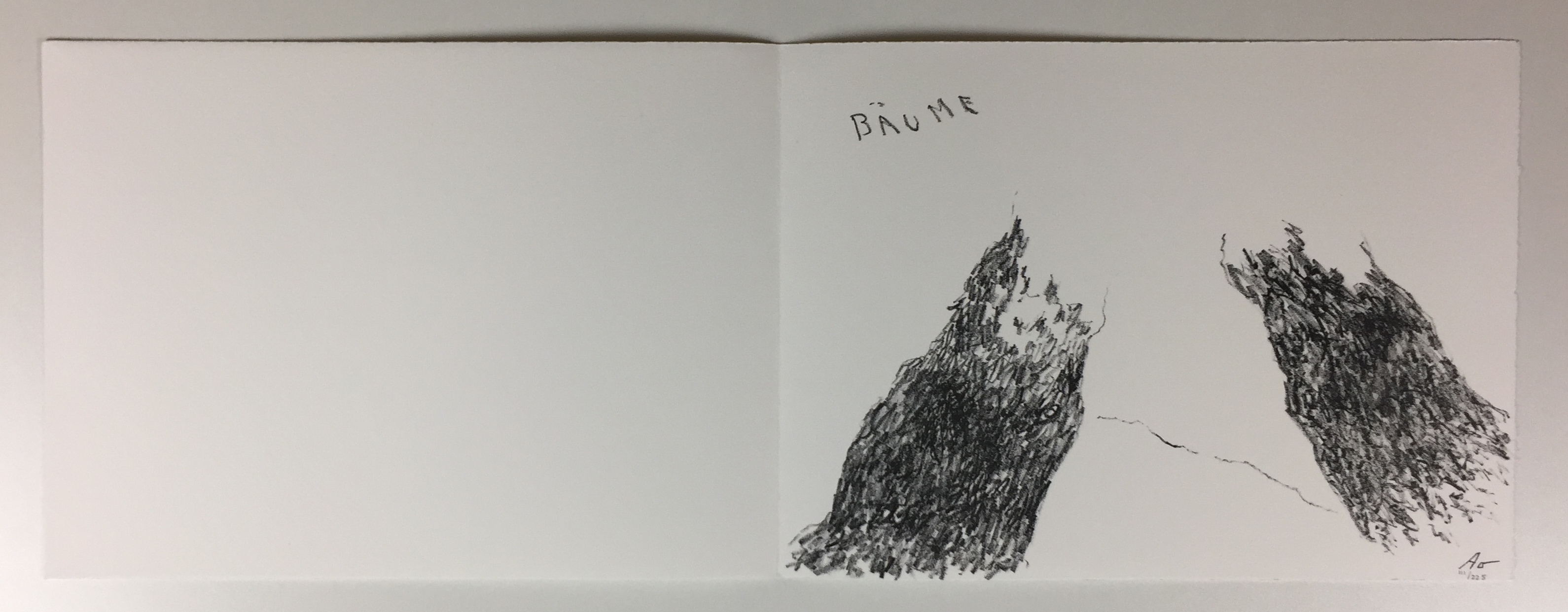 Armando - Portfolio Stichting de Roos, 'Zichzelf', incl. twee litho's 2013 (ZELDZAAM) kopen? Bied vanaf 425!