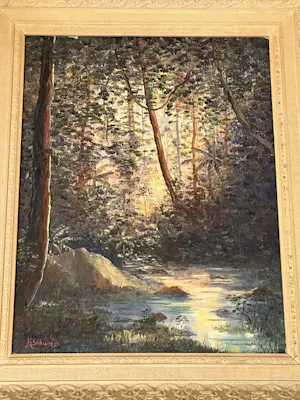 Kuno Schweers - Tropisch regenwoud kopen? Bied vanaf 99!