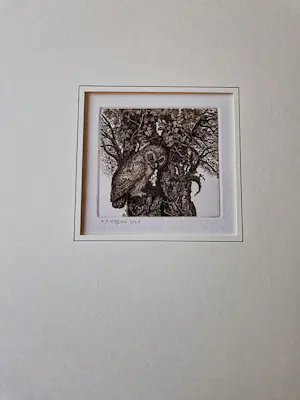 Anneke Kuyper - Knappe realistische droge naald Ets "steenuiltje" zeer kleine oplage (25) kopen? Bied vanaf 37!