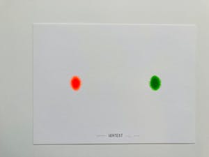 Peter Jordaan - SEHTEST kopen? Bied vanaf 45!