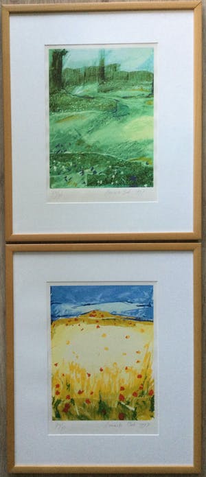 Annemiki Bok - Voorjaar & Zomer | set van 2 kleuren zeefdrukken - ingelijst kopen? Bied vanaf 69!