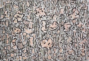 Jan Wolkers - Winterbeelden V, zeefdruk + foto + gedicht + gratis verzending ! kopen? Bied vanaf 250!