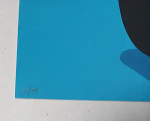 Enrico Bressan - Cubo de Basura - Siebdruck 2003 handsigniert und nummeriert Auflage 75 Ex. kopen? Bied vanaf 80!