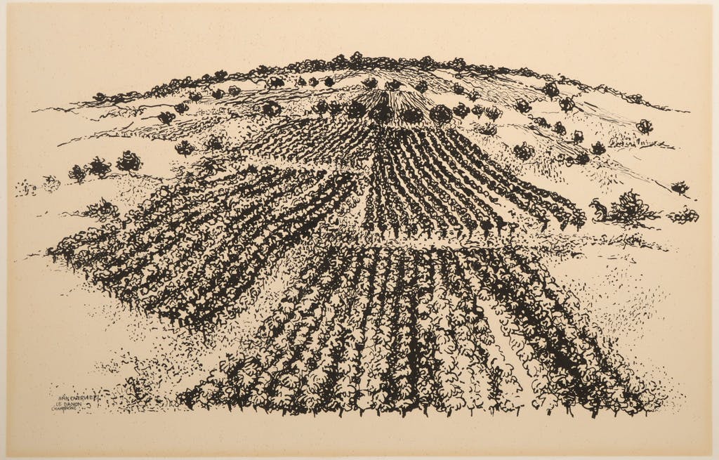 Ank Overweel - Pen en inkt, Le danon champagne kopen? Bied vanaf 1!