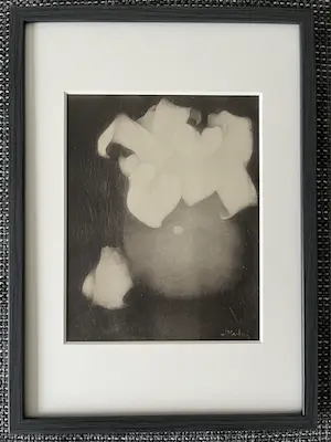 Jan Mankes - Originele Heliogravure Aronskelken 1923 kopen? Bied vanaf 85!