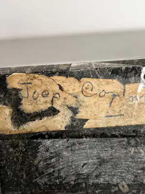 Joep Coppens - Venus kopen? Bied vanaf 159!