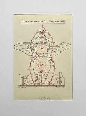 Ilya Iosifovich Kabakov - The Life of Flies kopen? Bied vanaf 165!