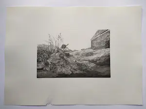 Fred Couprie - 1976 - Zonder titel kopen? Bied vanaf 30!