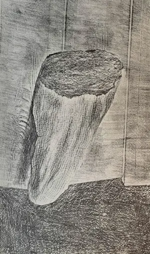 Max Ernst - Map met 34 werken: Histoire Naturelle - 1972 kaufen? Bieten Sie von 499!