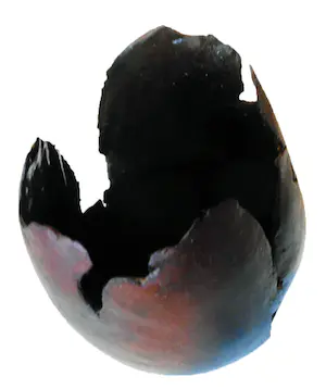 Bert Witte - Het gevoel van vazen kopen? Bied vanaf 75!