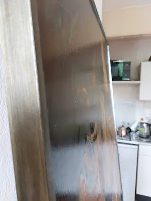 J.G.A. van Reede - Portret Mick Jager kopen? Bied vanaf 400!