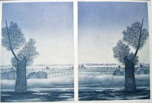 Hans Heijman - Gesigneerde ets verkocht voor € 35!