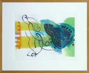 Hans Vredegoor - Kleurenets, Amore - Ingelijst kopen? Bied vanaf 1!