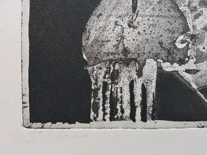 Jan Prins - Prachtige Ets - Gesigneerd in potlood kopen? Bied vanaf 15!