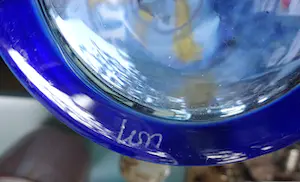 Willem Noyons - Dubbelvaas helder Koningsblauw kopen? Bied vanaf 55!