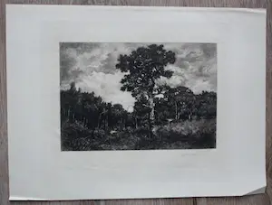 C.L. Dake - Litho kopen? Bied vanaf 45!