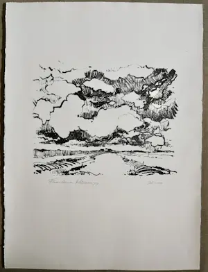 Jan Homan - Litho Friesland kopen? Bied vanaf 10!