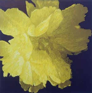 Hans Dolieslager - Zeefdruk, Dutch Glory I - Ingelijst kopen? Bied vanaf 40!