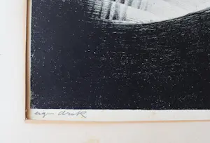 Jan Schonk - Op de Veluwe kopen? Bied vanaf 95!