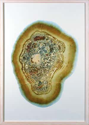 Lizan Freijsen - Digitale print, Zonder titel - Ingelijst verkocht voor € 50!