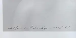 Paul Blanca - Selfportrait Bondage, lambdaprint op fotopapier (groot) kopen? Bied vanaf 395!