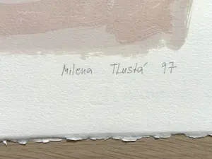 Milena Tlusta - abstracte zeefdruk zonder titel kopen? Bied vanaf 35!