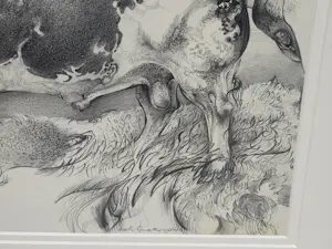 Martin Linnartz - Stier kopen? Bied vanaf 20!