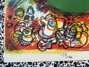 Jan Cobbaert - afgeprijst : prachtige genummerde en gesigneerde litho kopen? Bied vanaf 69!