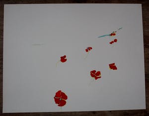 Hans Coumans - Litho - 1971 kopen? Bied vanaf 40!