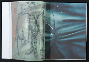 Marlene Dumas - Nobuyoshi Araki, Tracy Emin e.a. - Visionaire 46 UNCENSORED by Mario Testino kopen? Bied vanaf 250!