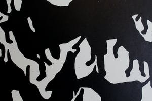 Ad van Riel - Doggy World (1) 9/10 kopen? Bied vanaf 35!