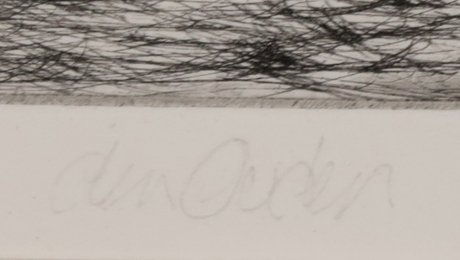 Willem den Ouden - Ets, Varik kopen? Bied vanaf 60!