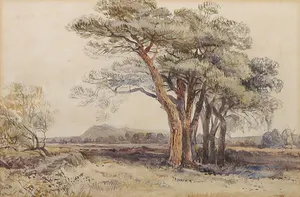 Niet of onleesbaar gesigneerd - Aquarel, Boomlandschap - Ingelijst kopen? Bied vanaf 1!